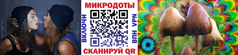 Купить  Миньяр  Псилоцибиновые грибы прущие грибы 