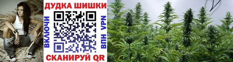 Купить где Миньяр Бошки Шишки планчик